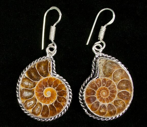 Beautiful Ammonite Earrings #4514